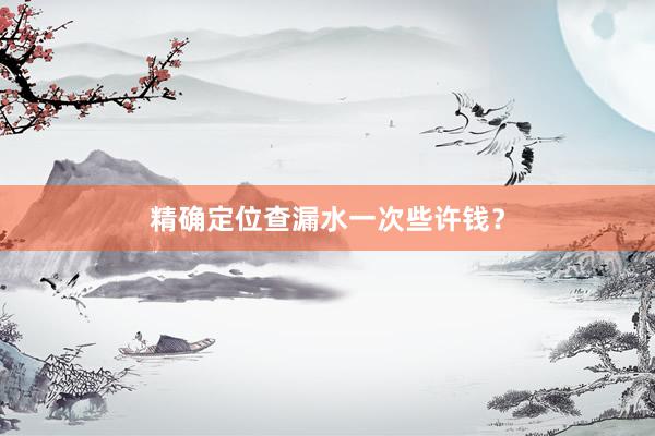精确定位查漏水一次些许钱？