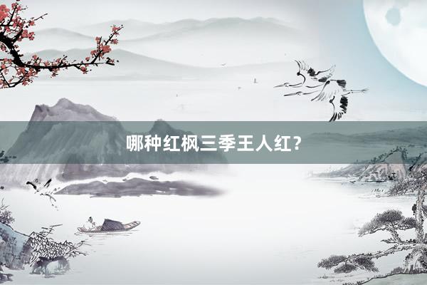 哪种红枫三季王人红？